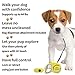 TNY-products Retractable Dog Leash W/ Break and Lock Button - 16 Feet Extendable Tape - Fit for Small/Medium Dogs - Easy To Use - Bag Dispenser Plus Extra Waste Roll and a Dog Tag Attached(Yellow)
