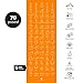 NewMe Fitness Instructional Yoga Mat, Orange, Printed w/ 70 Illustrated Poses, 24″ Wide x 68″ Long, for Women & Men : Non Slip, Eco Friendly PVC, Non Toxic : for Home or Gym : 5mm Thickthumb 1