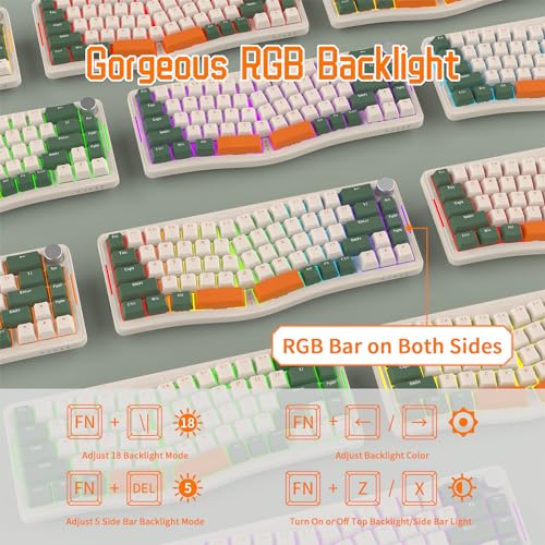 ATTACK SHARK AKS068 Teclado mecânico para jogos com fio 65% Alice Layout Hot-swapped Gaxeta, RGB Retroiluminado VIA Botão programável NKRO TKL AS Interruptor Clicky Blue pré-lubrificado (Verde)