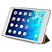 BESDATA Ultra Thin Magnetic Smart Cover [Auto Wake/Sleep Function]& Translucent Back Case for 2013 iPad Air + Screen Protector + Cleaning Cloth + Stylus, Gold