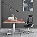 JUMEI Adjustable High Back Mesh Executive Desk Chair-Model Office Chair with Lumbar Support,Black