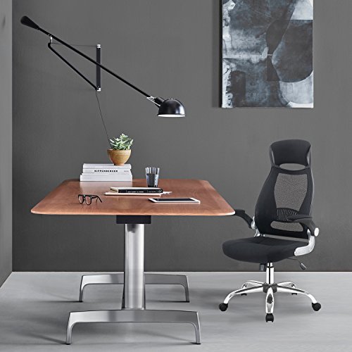 Adjustable High Back Mesh Executive Desk Chair-Model Office Chair With Lumbar Support,Black