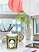 The Office Dwight Shrute Corporate Ladder (Dunder Mifflin) Cast Group Workplace Comedy TV Television Show Coffee (Tea, Cocoa) Mug, 11 Ounce