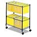Safco 5278BL Mobile File, Two-Tier Large, Black