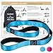 Yoga Strap for Stretching, Lower Back Pain Relief Stretching Poster, & Travel Bag | Tough Non-Elastic Nylon Stretching Strap with Loops all Neoprene Padded | 2 in 1 Doubles as a Yoga Mat Carry Strap