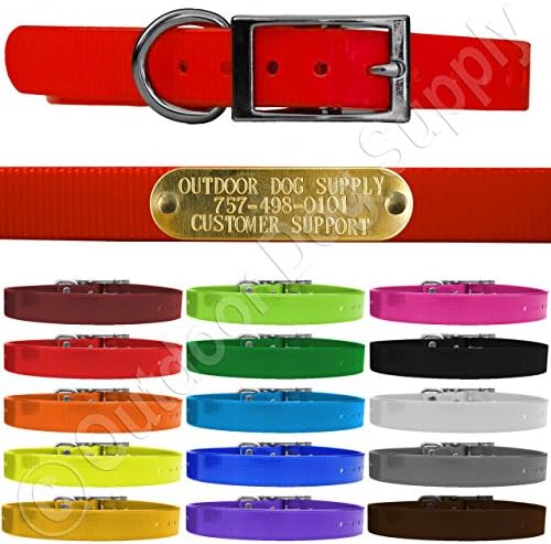 Outdoor Dog Supply's 3/4" Wide Solid D Ring Dog Collar Strap with Custom Brass Name Plate (Pink)
