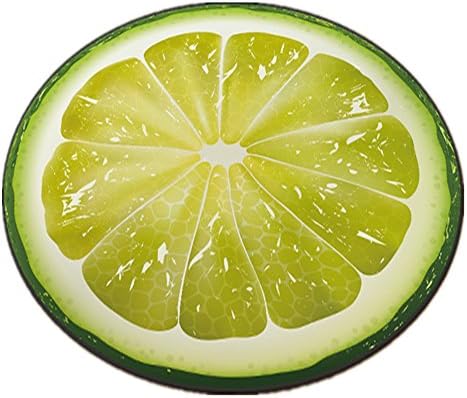 DeMissir Non-Slip 3D Lemon Round Rug 3'4" Area Living Room Carpet (5'4")