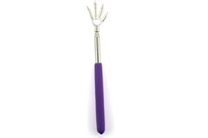 YPY Merchandising Back Scratcher Eagle Claw,Eagle Claw Back Itching Scratchers with Extendable Handle(Random color) (1)