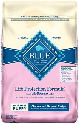 silly golden retriever