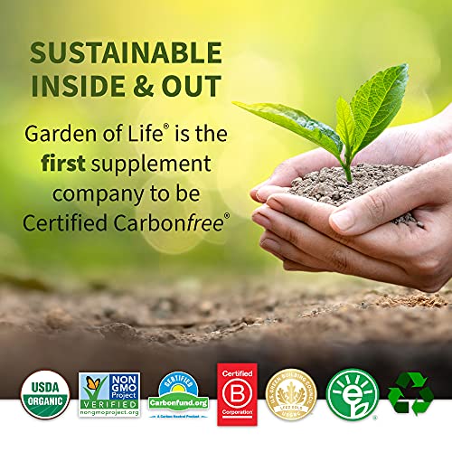 GARDEN OF LIFE MULTIVITAMIN – VITAMIN CODE LIQUID RAW WHOLE FOOD VITAMIN, VEGETARIAN SUPPLEMENT, NO PRESERVATIVES, FRUIT PUNCH, 30 FL OZ