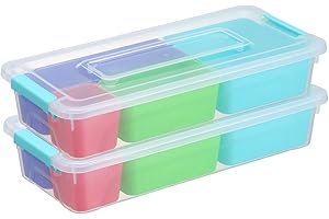 Naivees 2 Pack Storage Organizer with Divider Plastic Multipurpose Storage Container Box with Lock Catch,4 Colors of Inner Box