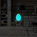 Mr.Go 11-Inch LED Egg Lamp with Remote - Color-Changing, Cordless, Waterproof, Rechargeable Night Light Mood Lighting - 16 RGB Colors, 4 Modes, Dimmable - Great as Table Centerpiece or Room Decoration