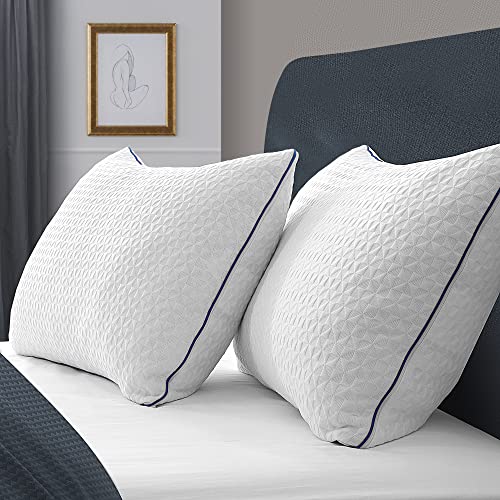 viewstar Pillows Queen Size 1 Pack, Firm and Supportive Shredded Memory