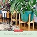 declutterd Plant Stand - Non-Wobbly - Mid Century Adjustable - Modern Indoor Plant Holder for House Plants, Home Decor - Wood - Fits Planter 8 to 12 Inches - Excludes Plant Pot (Black 1-Pack)