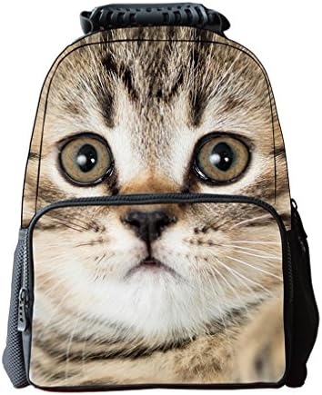 Eimyt Cool 3D Animal Planar Print Pattern Polyester Fabric Book Bag With Side Net Bottle Pouch For Unisex Student Kid Backpack Cat 30L