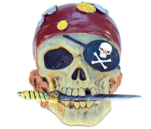 Money Bank Pirate Skull Handcrafted Table Top Resin - Pirates Theme Multicolor - Unique Elegant Gift and Souvenir by Mozlly
