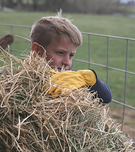 Kids Leather Work Gloves, Premium Top Grain Cowhide, For Gardening, Mechanic, Ranch, Riding, Weeding, Pruning (med-ages 6-8)