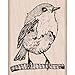 Hero Arts D5890 Wood Stamps, Bird
