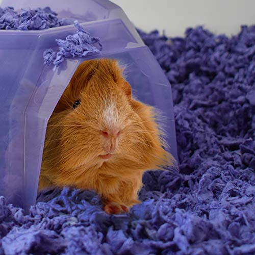 Carefresh Playful Purple Bedding - Image 4