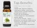 BioFinest Fennel Oil - 100% Pure Fennel Essential Oil - Premium Quality - Therapeutic Grade - Best For Aromatherapy - FREE E-Book (10ml)