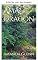 Livro Ama Dragon