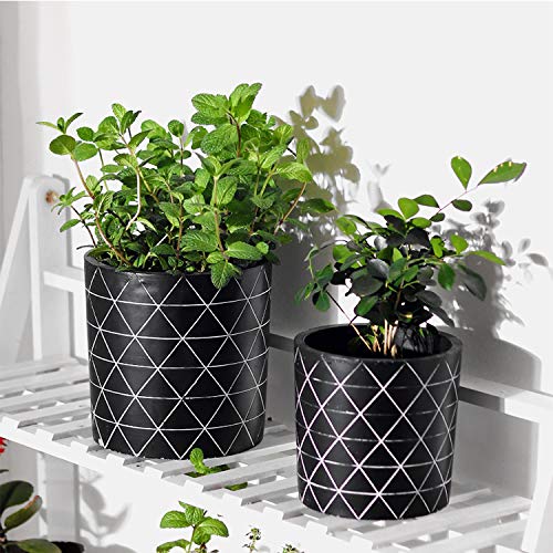 GEPEGE Cement Succulent Planter 6 Inch Flower Pot, Concrete Modern Planter - Thumbnail 4