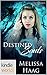 The Runes Universe: Destined Souls (Kindle Worlds Novella)