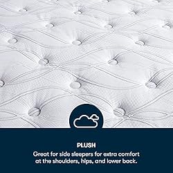 Serta - 14" Clarks Hill Elite Plush Queen