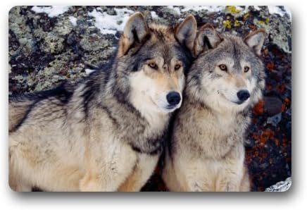 Wolf Couple Love Funny Animal Non-woven Fabric Door Mat Indoor/Outdoor/Bathroom Doormat Rugs for Home/Office/Bedroom 23.6"(L) x 15.7"(W)