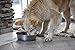 Our Pets Durapet Premium Rubber-Bonded Stainless Steel Dog Bowl 4.5 Quart, 13 Cups, 10.9