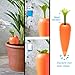 Peleg Design Care-It Plant Watering Device, Terracotta Vacation Plant Waterer Slow Release for Indoor and Outdoor Plants, Self Irrigation Watering System, Carrot Design