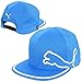 PUMA Tour Performance Monoline 210 Hat (Cloisonne, Adjustable) Golf Cap