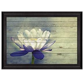 Water Lily with White and Purple Petals Over...