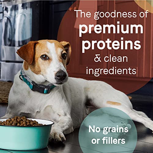 Canidae Pure Limited Ingredient Premium Adult Dry Dog Food, Real Lamb