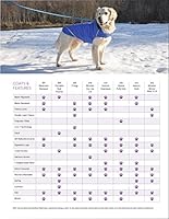 king charles rescue dogs