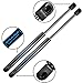 ARANA 4182 Front Hood Lift Support Gas Struts Shock for 2004-2012 Nissan Titan/ 2004 Nissan Pathfinder/ 2005-2013 Nissan Armada, Set of 2 Gas Spring