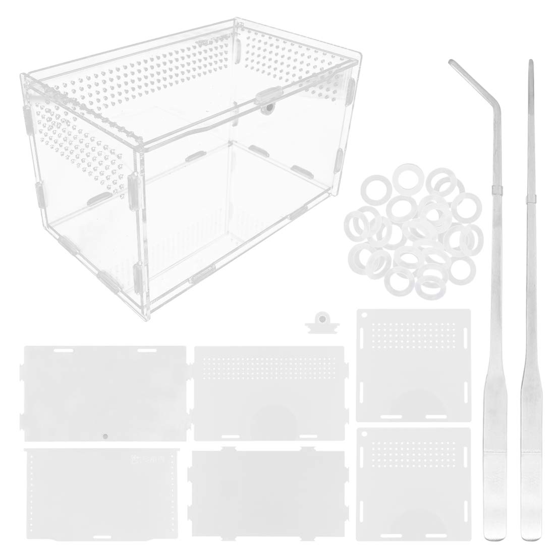 Acrylic Reptile Feeding Box 20x12x12cm Transparent Glass Breeding Box Terrarium with 2 Pcs Straight and Curved Tweezers for Pet Insect Spider Crickets Snails Hermit Crabs Lizard
