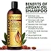 Moroccan Argan Oil Shampoo and Conditioner Set, Sulfate Free, Safe for Color Treated Hair, Anti-Hair Loss Treatment, Repair.