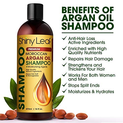 Moroccan Argan Oil Shampoo and Conditioner Set, Sulfate Free, Safe for Color Treated Hair, Anti-Hair Loss Treatment, Repair Hair Damage, Strengthens Hair For Healthy Hair Growth 16 Fl. Oz. - Thumbnail 2