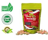 Hemp Watermelon Gummies 300mg- 20mg per Serving- 30 ct- Organic Hemp Extract - Relaxing, Pain Relief, Stress & Anxiety Relief - Sleep Better by Living Green (WaterMelon's)