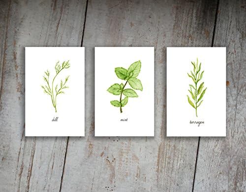 Herbs Art Print Set of 3 Prints Option 4
