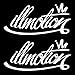 iJDMTOY (2 JDM illmotion Motion Nation Graffiti Style Car Window Bumper Vinyl Decal Stickers