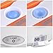 Yescom 1.5L Heated Electric Lunch Box 12V 24V 110V Car Truck Food Warmer Food Grade 304 Stainless Steel Container Portable Lunch Heater with Bag Orange
