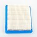 Podoy 36046 Air Filter for Compatible with Tecumseh Ohh60 740061 4 5.5 Hp Engines Oh95 Oh195 Ohh50 Ohh55 Ohh65 Vlv50 Vlv55 Vlv60 Vlv66 Vlv126 Replace Stens 100-450（Pack of 2）
