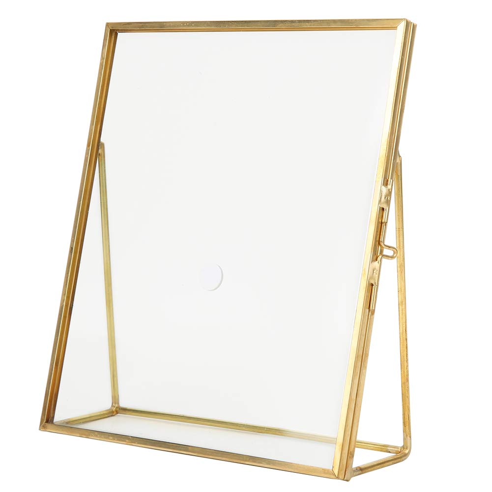 Tiiyee Glass Pressed Flower Frame, Dried Flower Photo Frame Plant Tabletop Specimen Picture Gold Geometric Display Home Decoration Art Stand Metal Bracket with Locket Closure for Desktop Dried Flowers