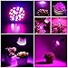 CREATE BRIGHT Led Grow Light Bulb, 28W Plant Bulb Full Spectrum Led Grow Bulb E26 Grow Plant Light for Indoor Plants,Aquariums,Hydroponics Greenhouse Organic,Pack of 1