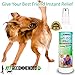 Vet Recommended - Anti-Itch Oatmeal & Baking Soda Spray for Dogs. Hypoallergenic Calming of Skin. Helps Dry & Allergy Dog Skin, Insect Bites & Itchiness. Made in The USA (8oz/240ml)