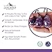 Amethyst Yoni Eggs, June&Ann Set of 3 Drilled Natural Chakra Healing Yoga Exercise Eggs with String Massage Stones Ben Wa Ball for Women to Train Pelvic Muscles Kegel Exercise