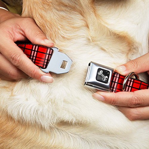 Buckle-Down 9-15" Plaid Red Dog Collar Bone, Small