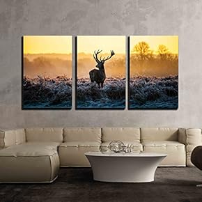 Red Deed In The Morning Sun - 3 Panel Canvas Art